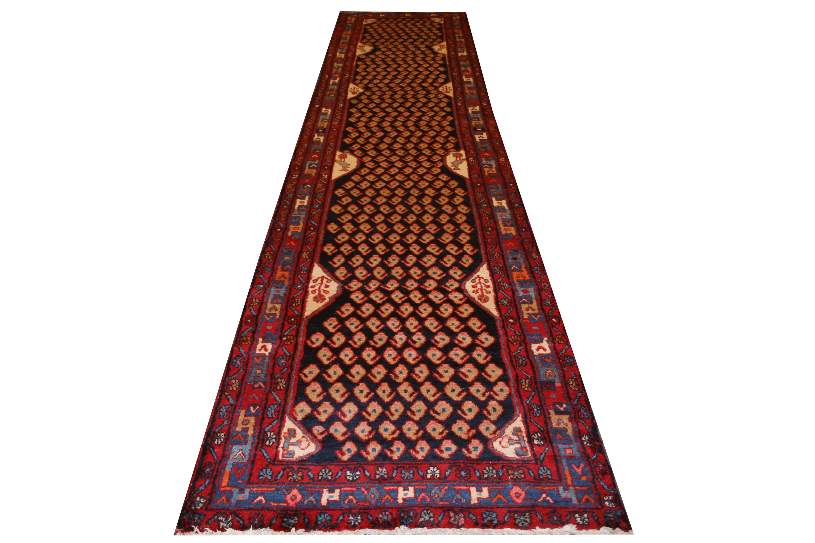 Hamadan 605 16.3x3.4ft  B1c8